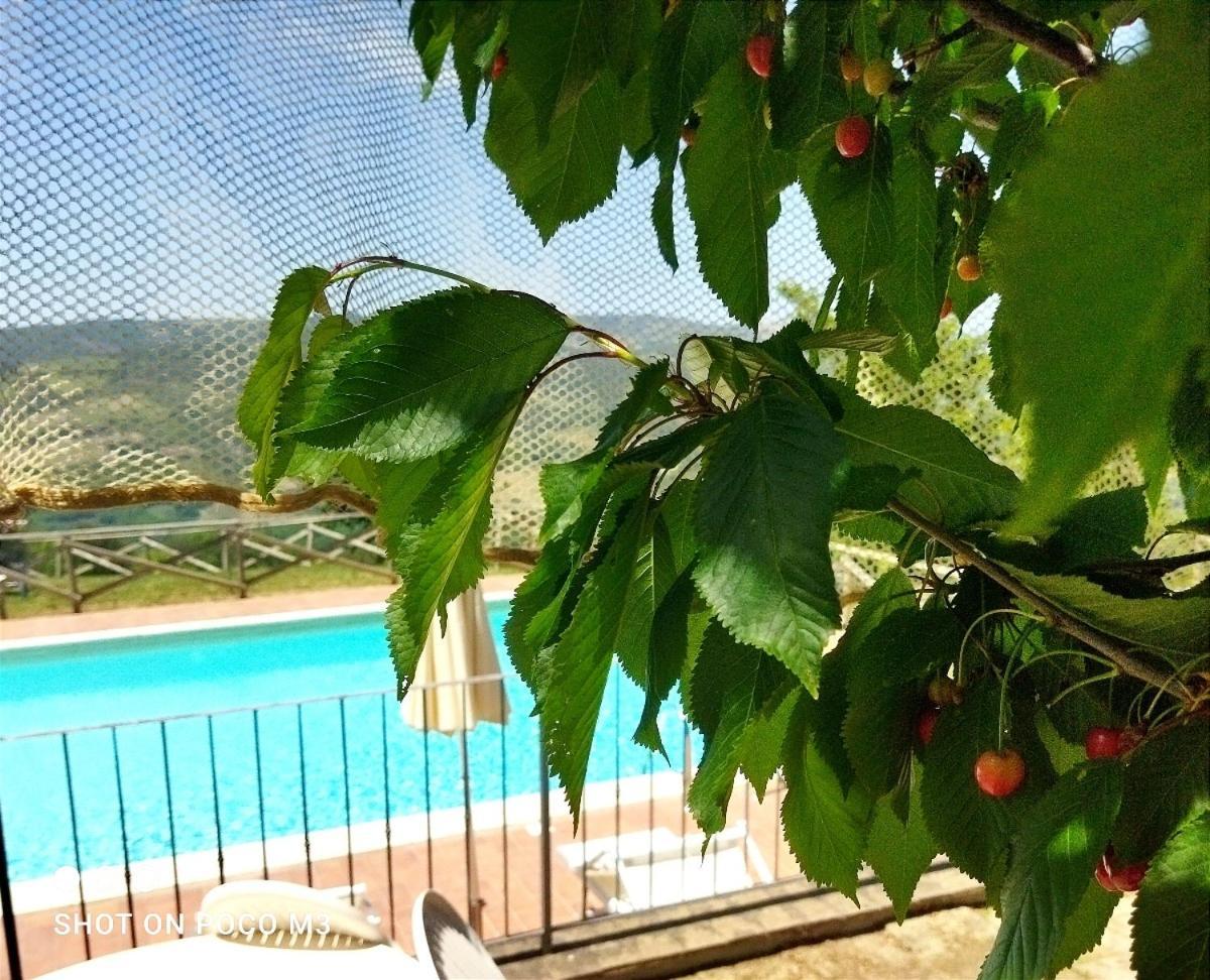 Poggio Al Vento Guest House Castiglione dʼOrcia Exterior foto