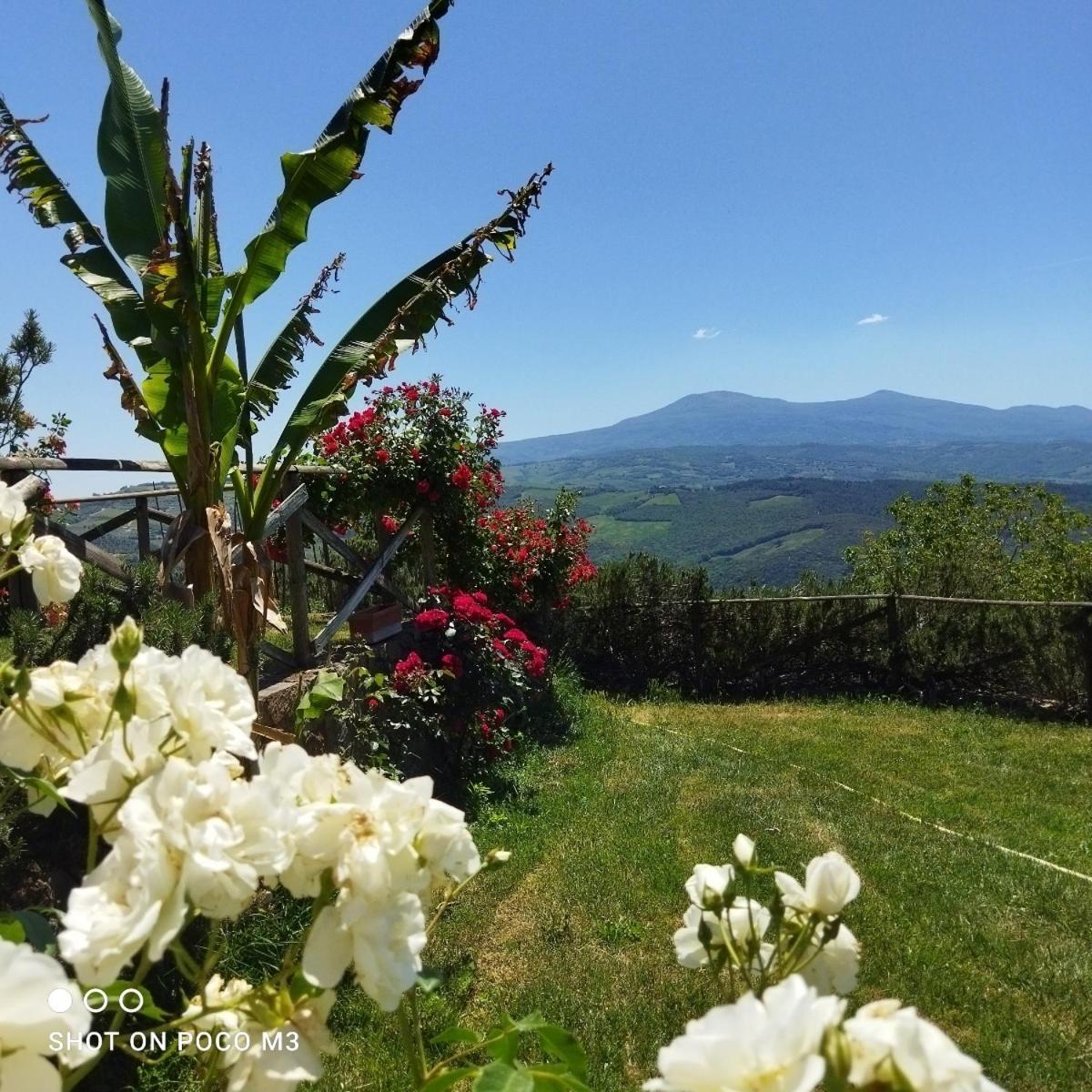 Poggio Al Vento Guest House Castiglione dʼOrcia Exterior foto