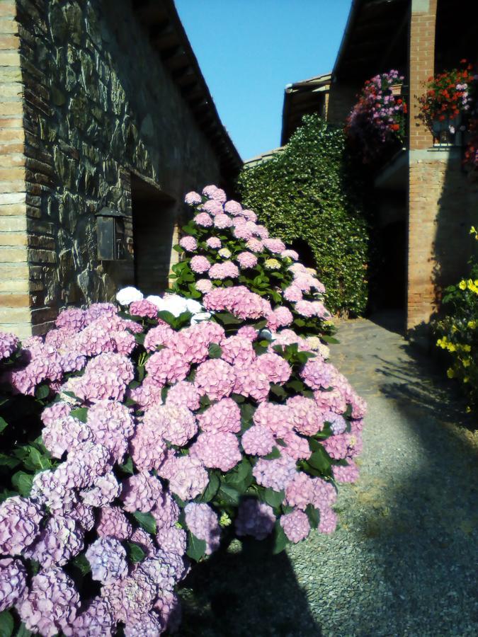 Poggio Al Vento Guest House Castiglione dʼOrcia Exterior foto